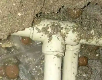 从江测漏水多少钱