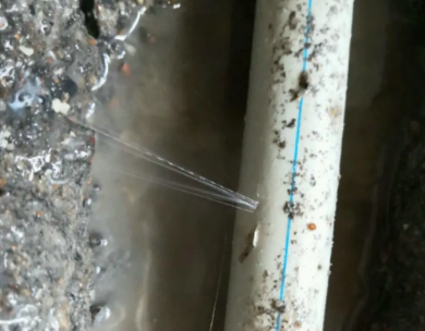 从江测漏水哪家好