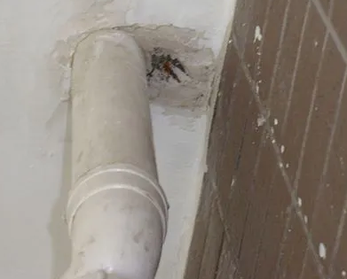 从江漏水检测哪家好